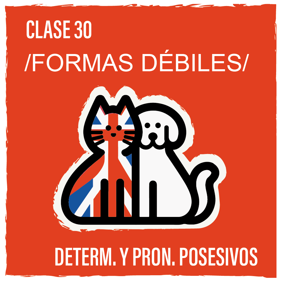 Clase 30 - Determinantes y pronombres posesivos